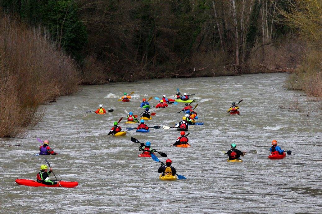 12794838_981781881902104_8072352572942711351_o