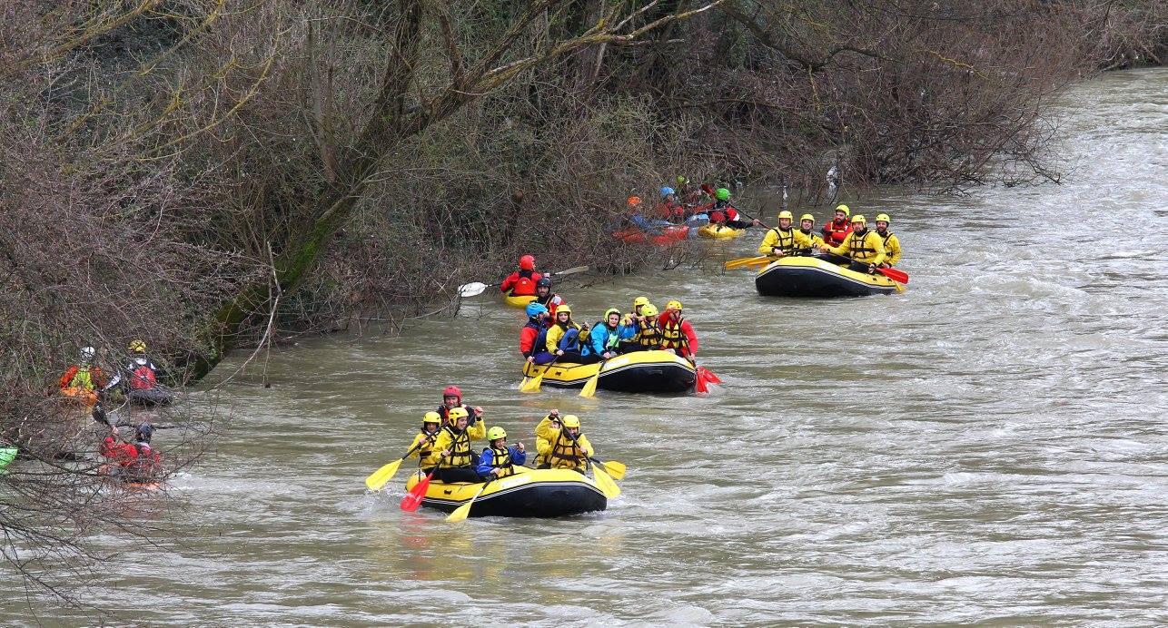 12795244_981578175255808_4708791857535516495_o