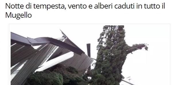 5 marzo. Un anno fa il disastro per il vento. Ecco cosa scrivemmo