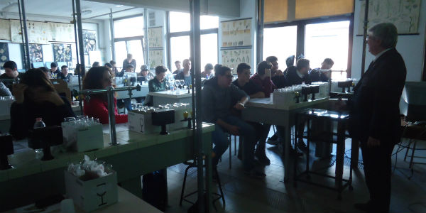 Seminario sulla degustazione vini al giotto ulivi.