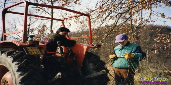 Forteto - Ragazzi al lavoro