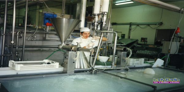 Forteto - ragazzi al lavoro 3