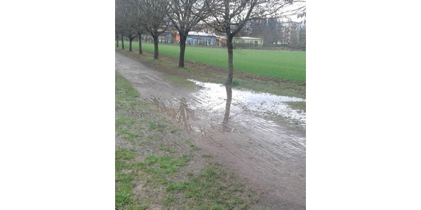 Area pesci a Borgo? La foto del giorno di OK!Mugello