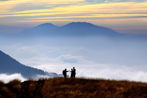 Career Sharing, benvenuto al lavoro del tuo futuro!