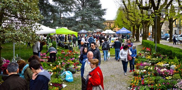 Torna Fiorinfiera a Borgo. Info e date