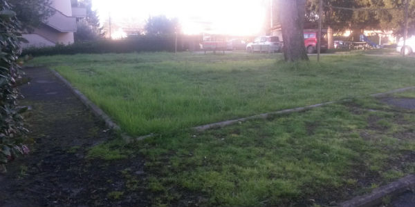 Molezzano. Una voce dalla frazione