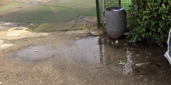 Perdita al Romanelli, dal 20 febbraio