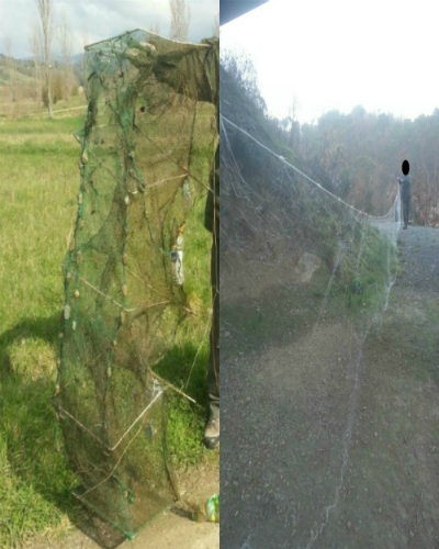 Bilancino: torna la pesca di frodo. Le guardie volontarie: «Bande organizzate»