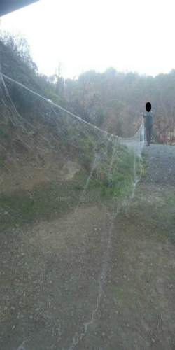 Pesca di frodo - Bilancino