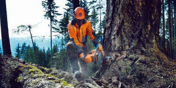 Gestione forestale. Un corso per i richiedenti asilo