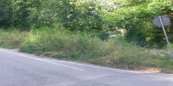 Incuria nelle frazioni? Meglio prevenire che curare