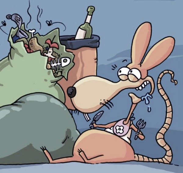 Abbandono rifiuti. Operatori Aer in campo per una settimana