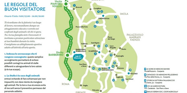 Stalle aperte. Tutti i dettagli, e c'è anche la Caccia al Tesoro