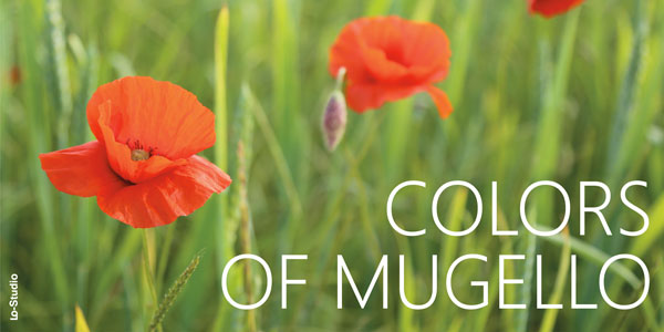 Colors of Mugello. Personale fotografica di Elena Innocenti