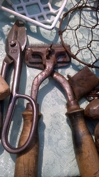 incanta vaglia 2016 11