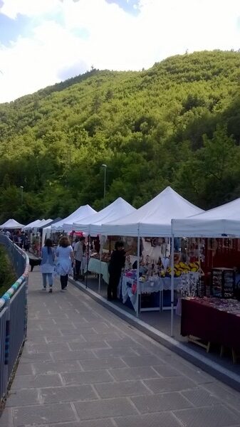 incanta vaglia 2016 13