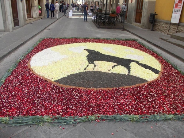 L'Infiorata, spettacolo a Scarperia. Si spera nel meteo per il pomeriggio