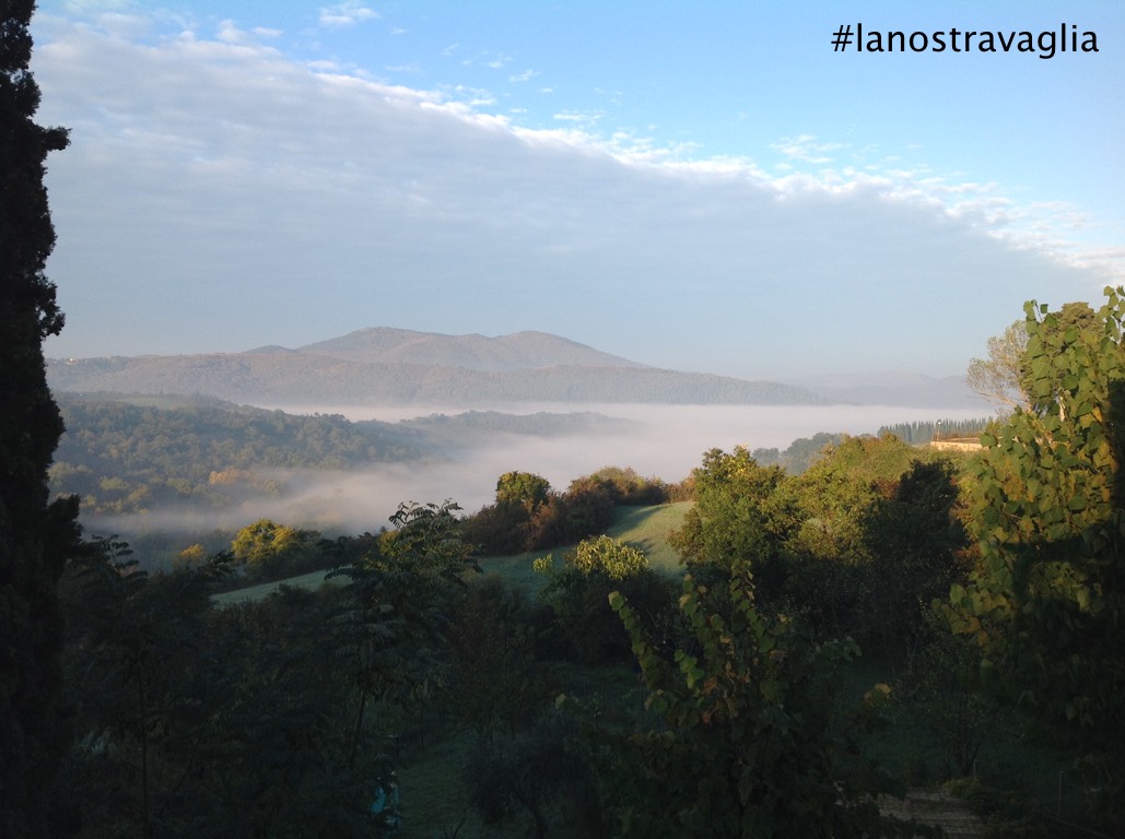 Vaglia 2020: il futuro di Vaglia visto dai cittadini