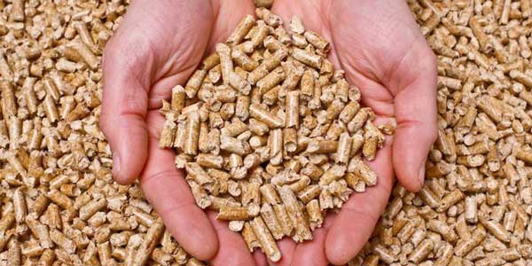 Pellet a Petrona si può costruire. Lo dice il SUAP