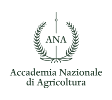 MasterChef: Il falso in tavola