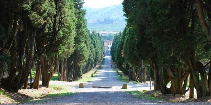 Nuovi giochi nei giardini del territorio di Rufina
