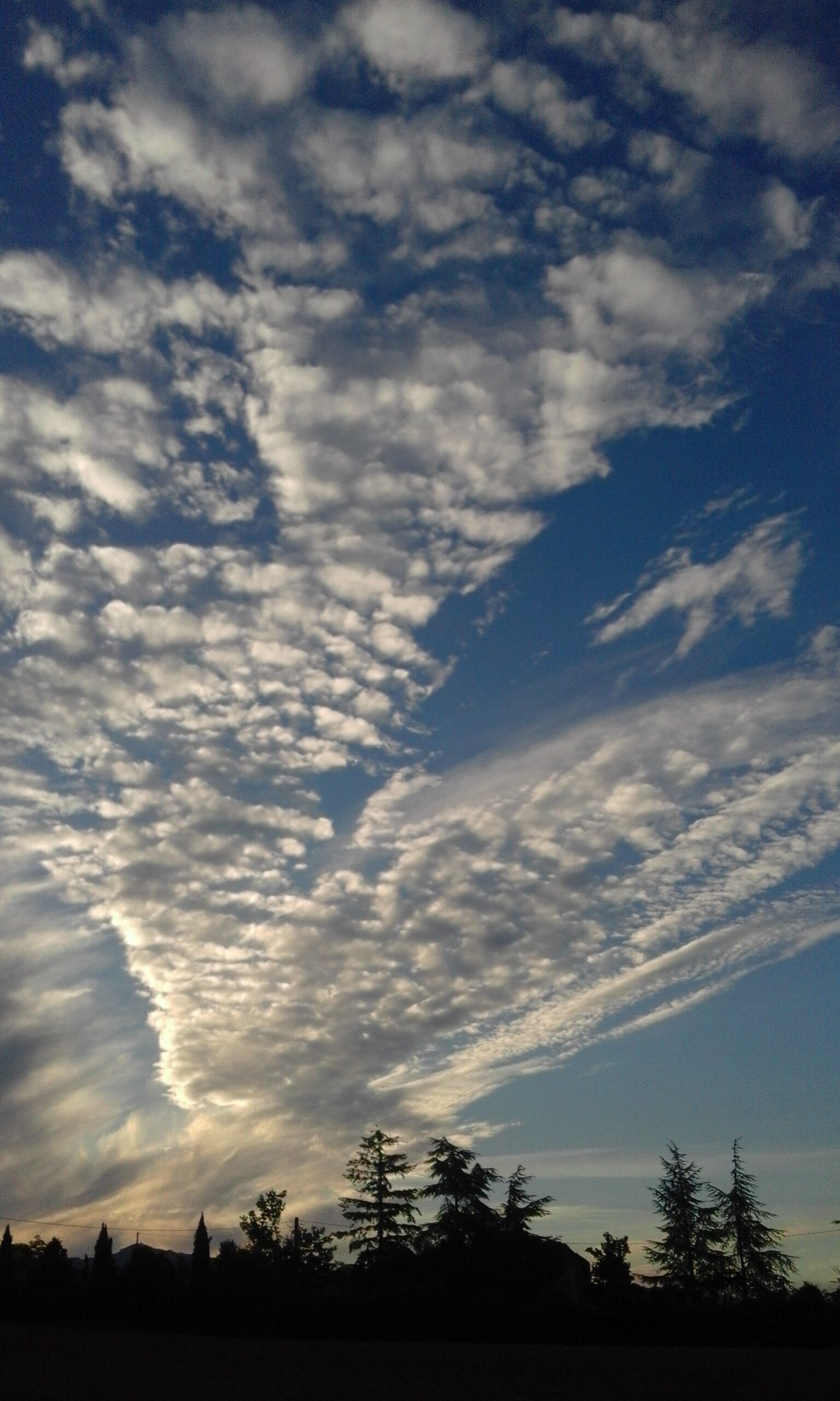 Lo spettacolo dell'alba. Foto del giorno