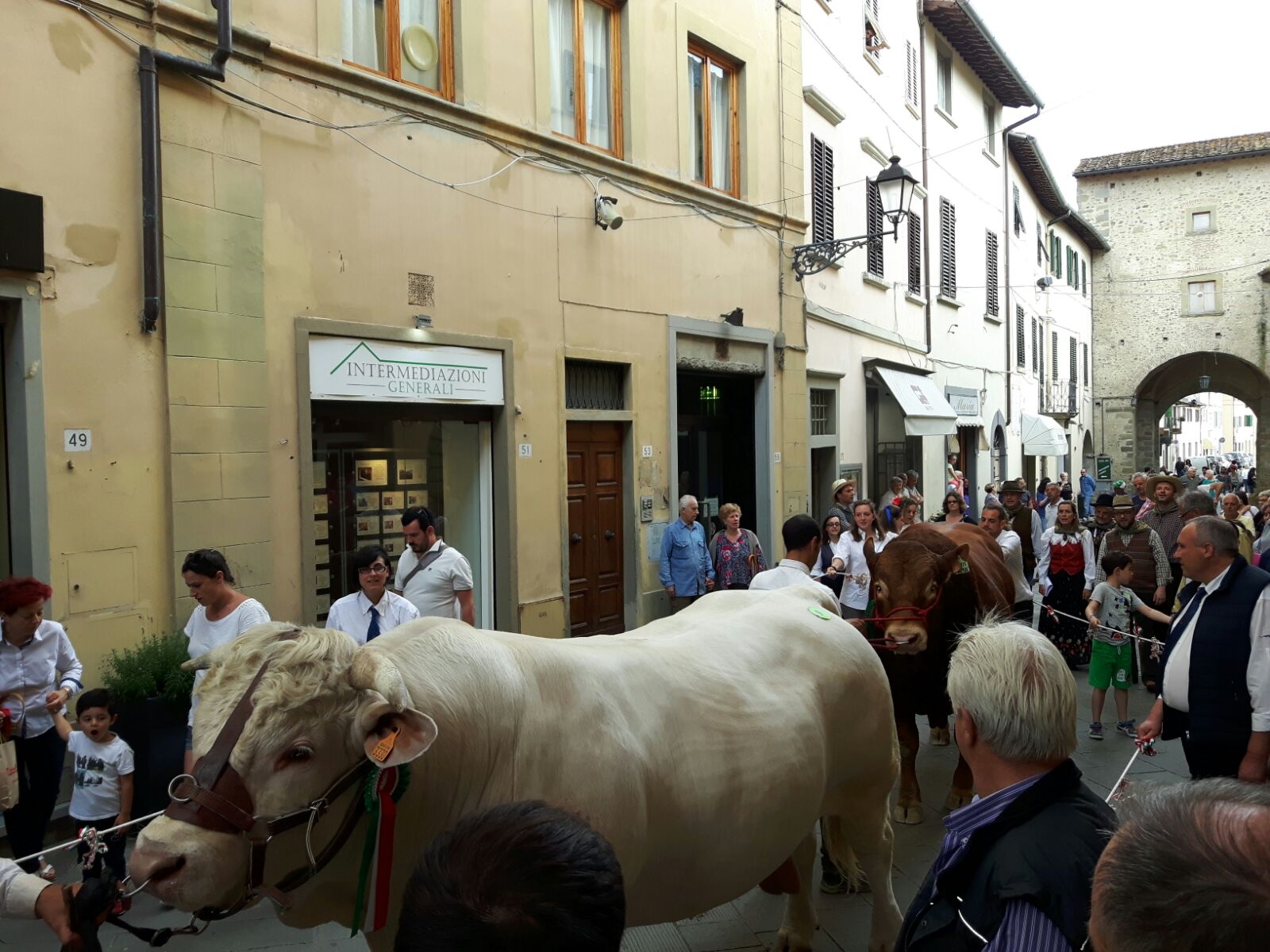 Chiusa la Fiera Agricola: Successo gli animali in centro