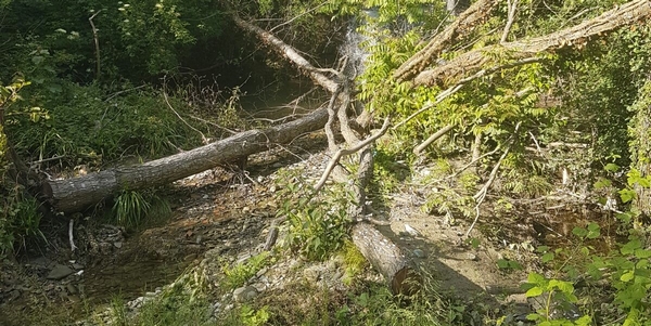 'Torrente in difficoltà' a Luco? L'unione dei Comuni precisa