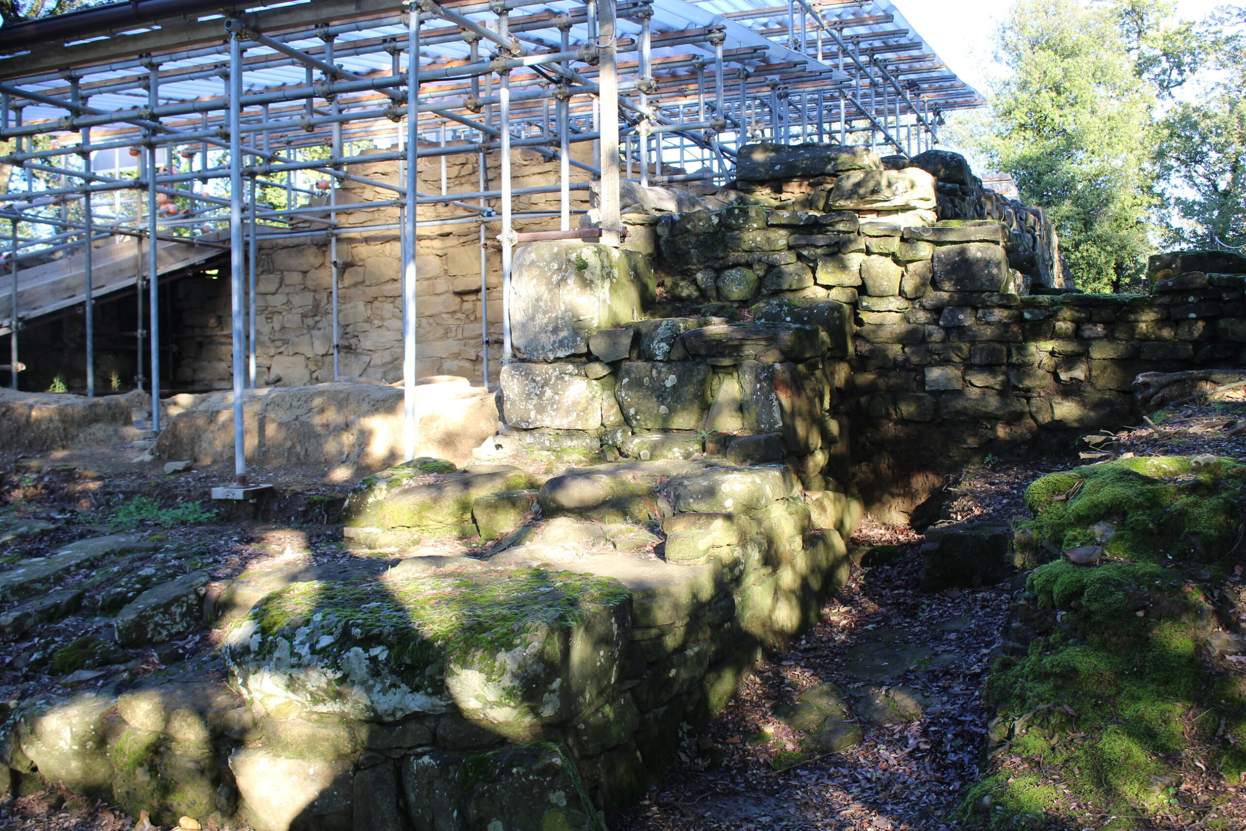 Sabato via all'Estate Frascolana. Programma ed eventi