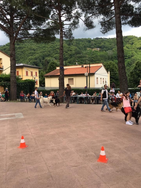 pro loco fido 2016 3