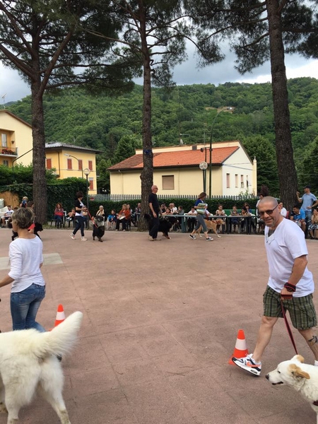 pro loco fido 2016 4