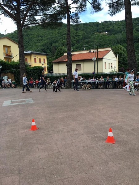 pro loco fido 2016 5