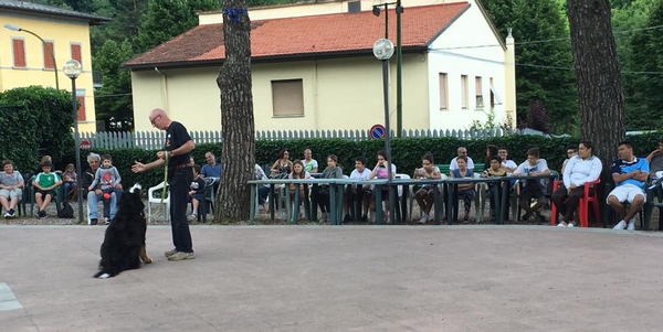 pro loco fido 2016 8