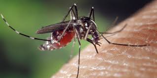 Viaggiare con sicurezza: orari ambulatori Usl di medicina dei viaggi