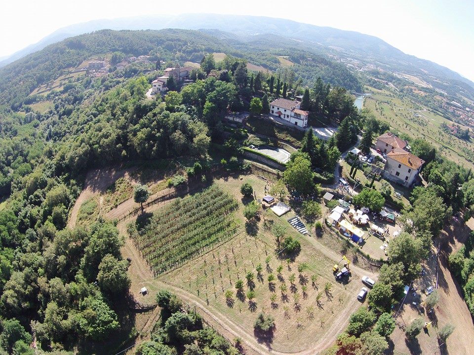 AZIENDA DI LATERA FOTO 1