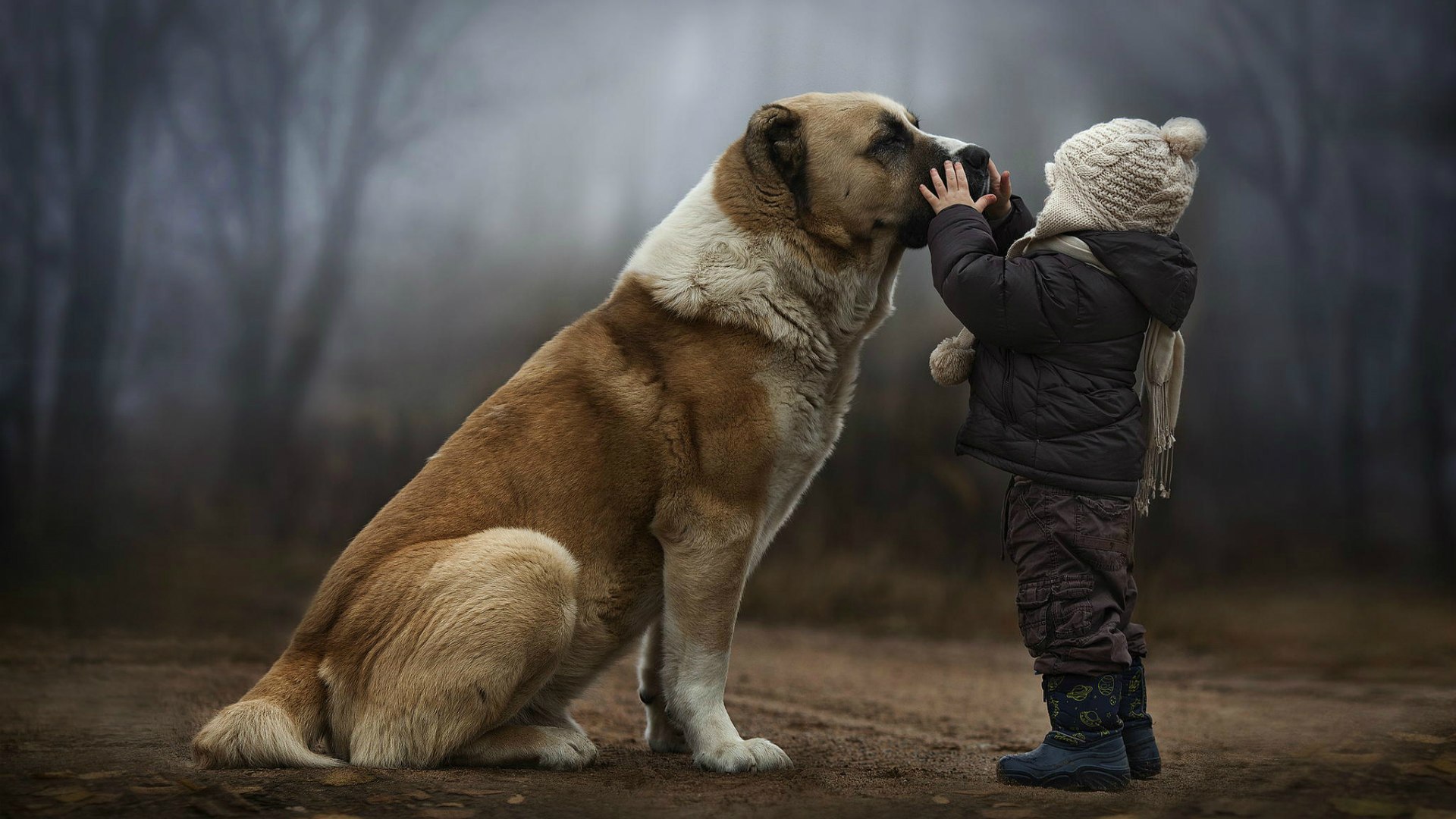 Bambini e cani. Le dritte per vivere sicuri