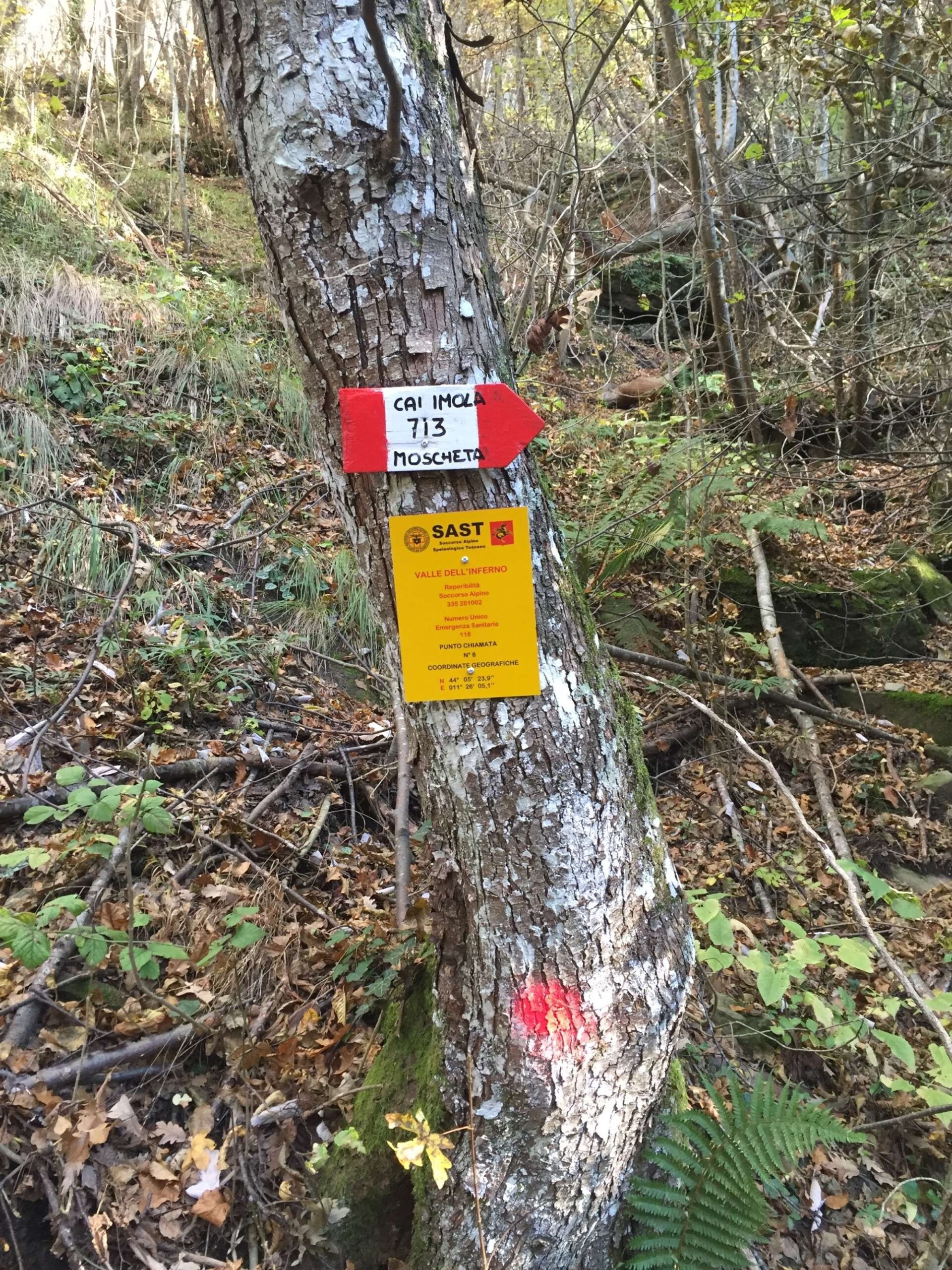 Escursioni in Mugello. Tutte le info sui sentieri ed i nuovi segnali, anche georeferenziati