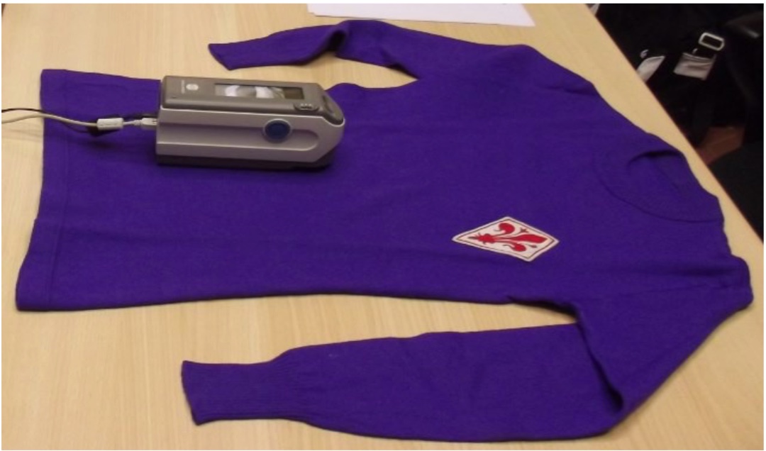 Fiorentina 1968-1969