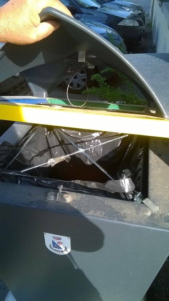 cestini differenziata