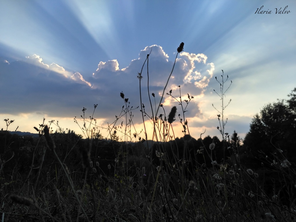le-nuvole-di-ilaria-valvo_3