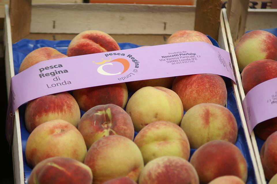 pesca-regina-londa-cassetta