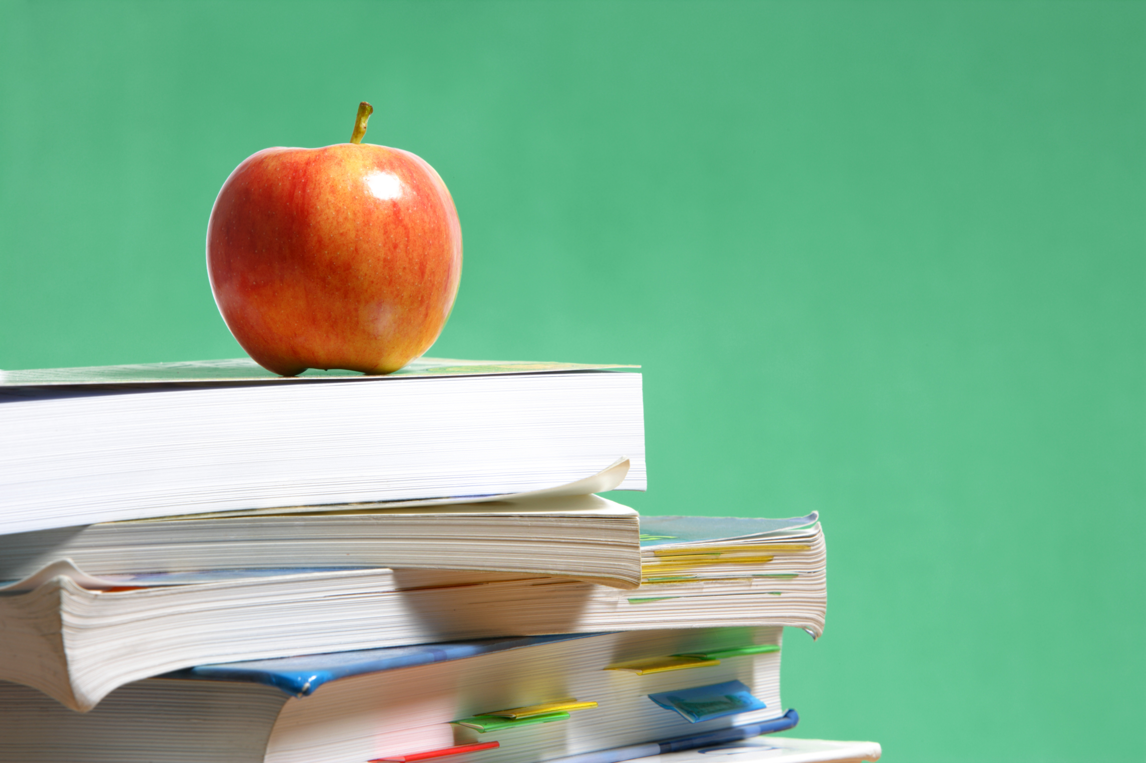 Tempo pieno posticipato per infanzia e primaria. La nota del consiglio