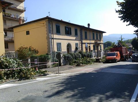 Dicomano sostituisce i tigli. Botta e risposta con i cittadini