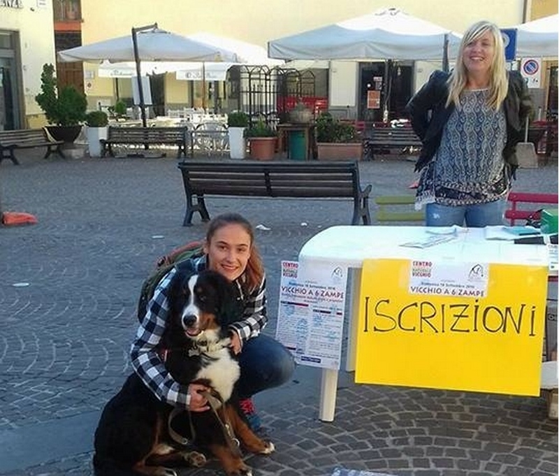 vicchio 6 zampe corretta