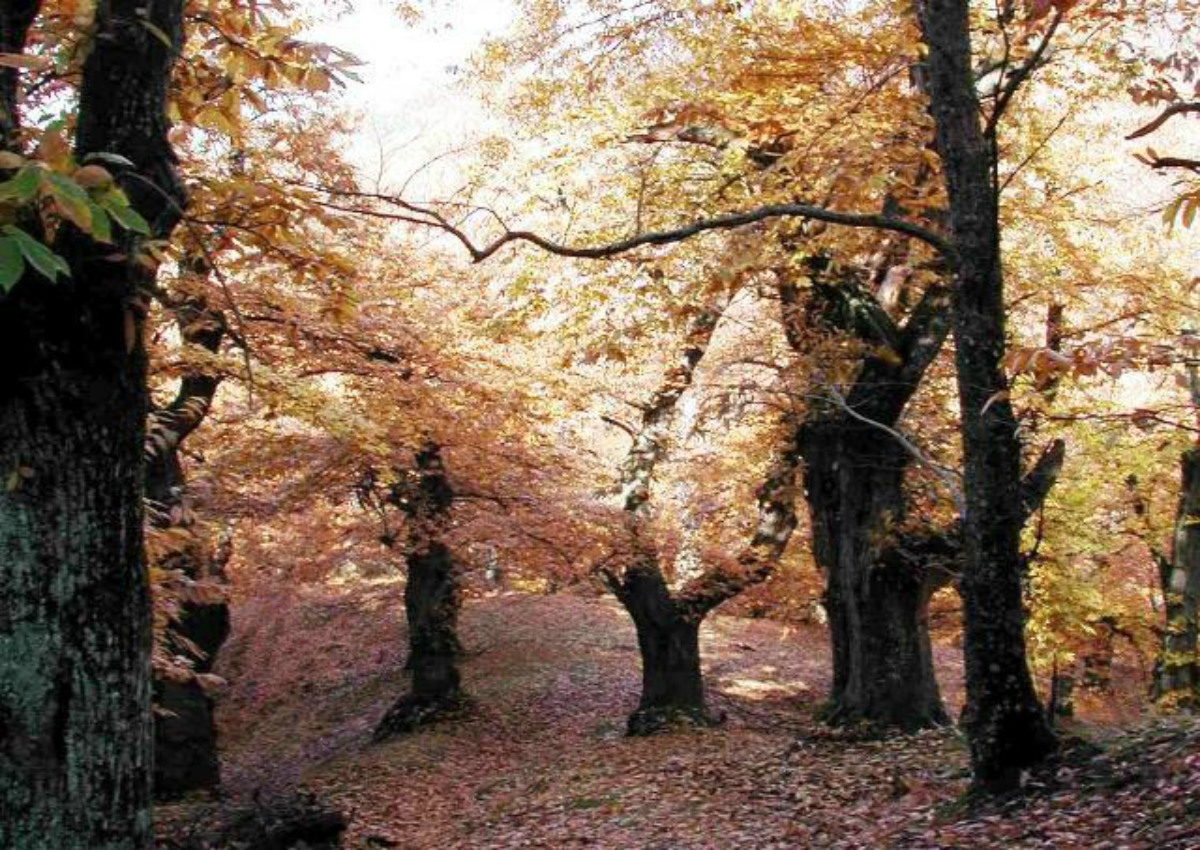 Mugello-moscheta-firenzuola