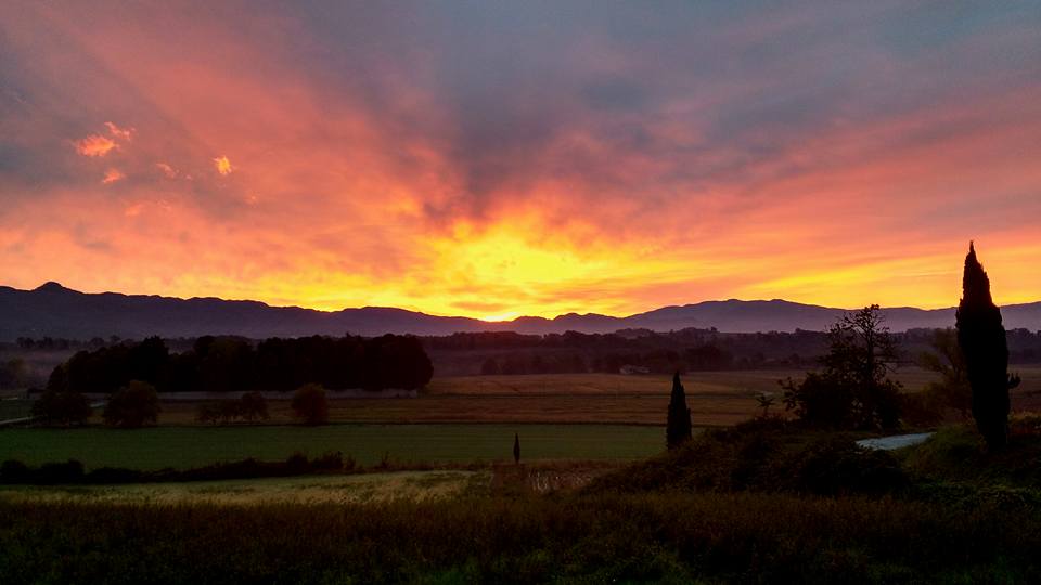 alba-mucciano-marson