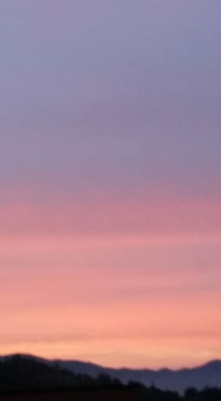 foto-alba-stefania-cecchini