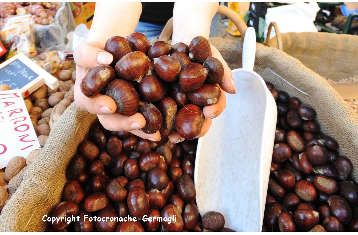 Marroni, ultimo atto. Domani ultima domenica a Marradi e Palazzuolo