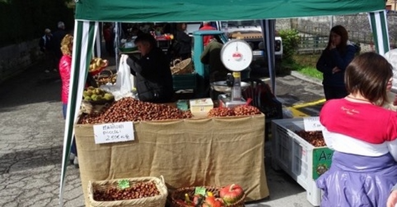 Ottobre Palazzuolese, domenica al via. Gli eventi