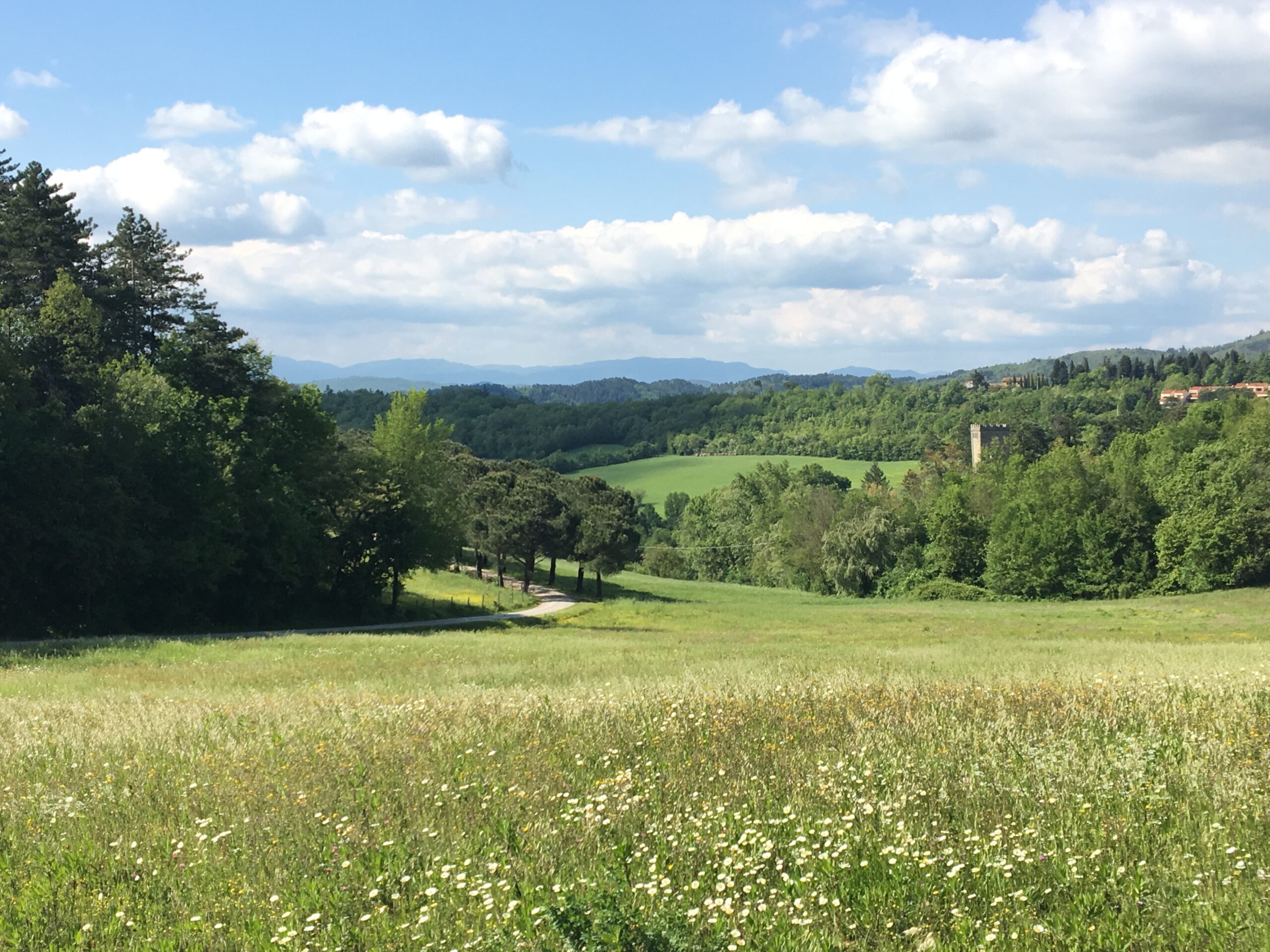 Slow Food per il Mugello. Mercoledì incontro a Pratolino